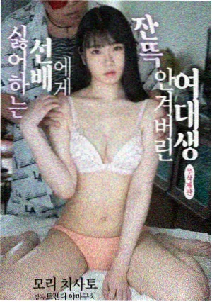 剧集回声档案封面